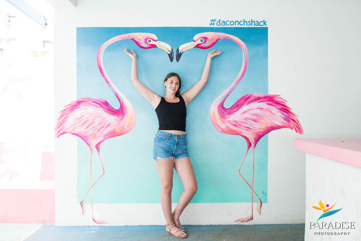 senior-photos-tci-2025 senior pictures with flamingo paintings