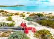 family in red sitting on rocks at the beach